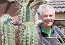 Garden centre to expand lawfully