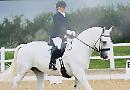 Stable talk
