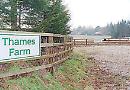 Thames Farm housing challenge denied