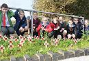 Pupils pay tribute with poetry and poppy crosses