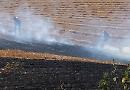 Neighbours battle blaze on farmland