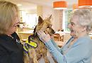 Little Aussie bringing joy to lives of elderly and unwell
