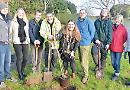 6ft apple is first tree to be planted at community orchard