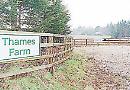 Another appeal in Thames Farm saga