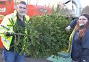 Tree chipping raises £180 for Henley in Bloom