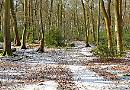 Schools and college closed due to snow