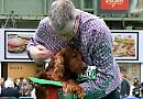 Crufts joy
