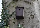In-nestment