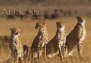 Disney nature - African Cats