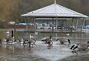 Floods break out in Henley area