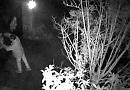 Festive wreath theft caught on camera
