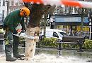 Henley puts up its Christmas tree