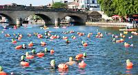 Swimmers at Henley Bridge