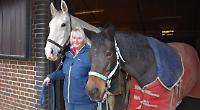 Horse injured after being spooked by firework noise