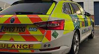 Boy, 12, dies after being hit by van
