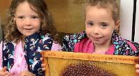 Children enjoy visit from beekeeper