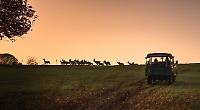 Remembrance tour of classic vehicles