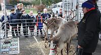 Another great i-deer