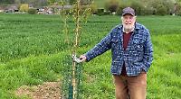 Cherry tree for cricket club legend who’s 90 not out