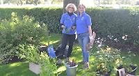 Gardening Buddies replant flowerbeds