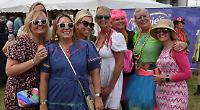 Pop fans party at retro festival