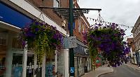 Hanging baskets marking coronation dubbed ‘drab’