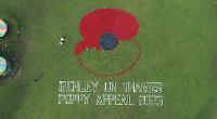 Giant poppy in meadows for Legion appeal