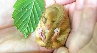 I’m worried about what we’re doing to nature, especially these cuties