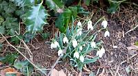 Signs of spring as I make my first unaided venture into countryside