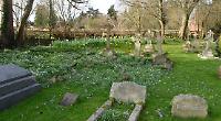 New life springing up in serene grounds where the dead rest in peace