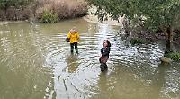 Floods nearly halt judges