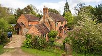 Plantsman’s paradise where vibrant memories are made