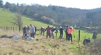 New hedge to help wildlife