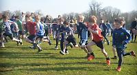 Runner loses shoe but gains top spot as 31st youth festival gets underway