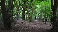 Treasured fairyland of fine and familiar that brings hope for future