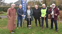 Crocus bulbs planted for polio awareness