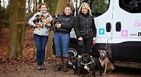 Whether it is walking your dog or pet travel, we're the real deal