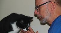 Mobile vet can come and help your pets