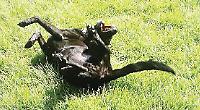 We adore Roxy's 'personality'