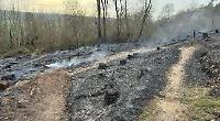Firefighters battle for three hours to stop wood blaze