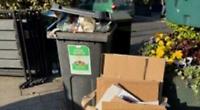 Business owner ‘deflated’ to find bin overflowing