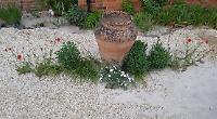 Couple left out of pocket as sewage spill ‘ruins’ garden