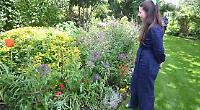 Binfield heath open garden 270525