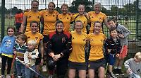 Henley bag seven-a-side title