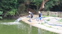 Pond filled with 80,000 litres of water to help stop it from drying out