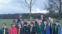 Cubs commerorate 45 years of pack with cherry tree planting