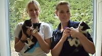 Builders rescue kittens from derelict restaurant