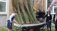 Girls create natural willow sculpture at art workshop