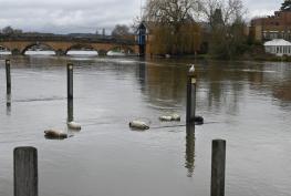 High river levels in Henley