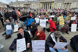 Henley demonstrator "vindicated" after Palestine Action ban ruled unlawful